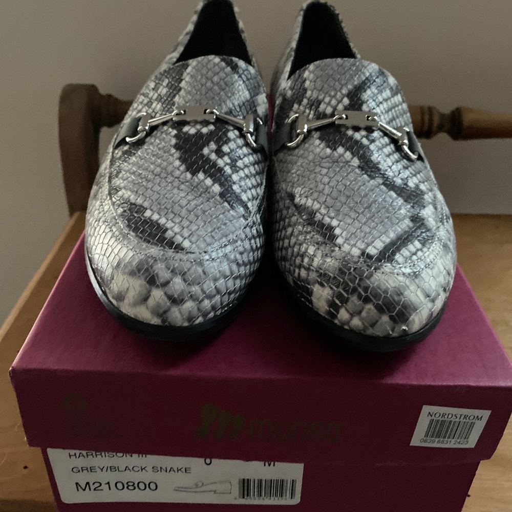 Grey/Black Snake